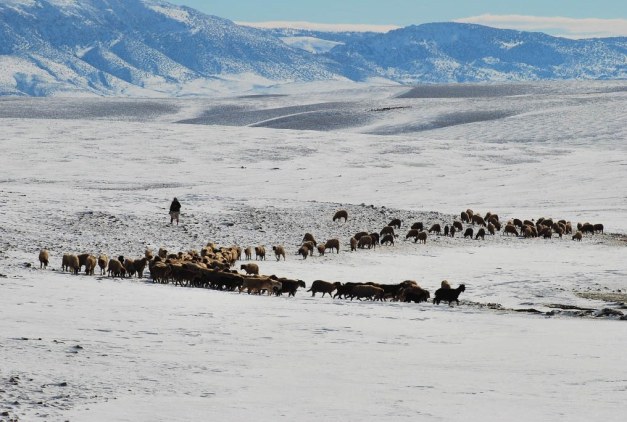 Paisagem do Medio Atlas