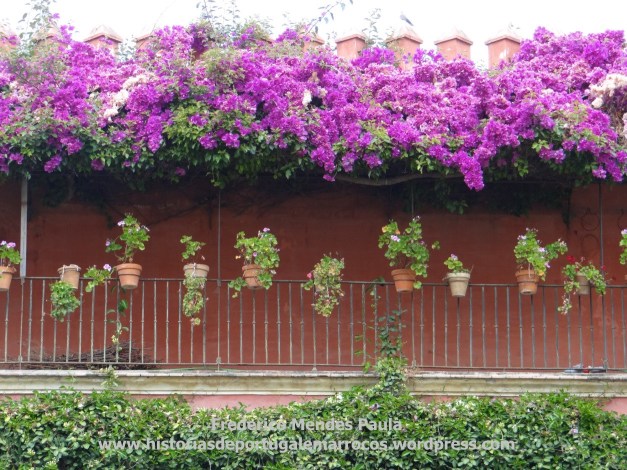 Casa de Pilatos Sevilha 2