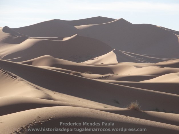 Erg Chebbi 16