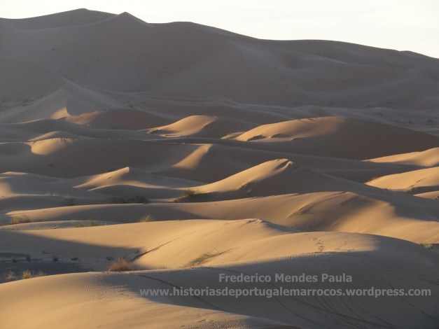 Erg Chebbi 8