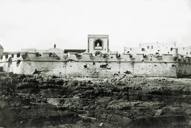 98488544_10223189624077767_6541039689191653376_o