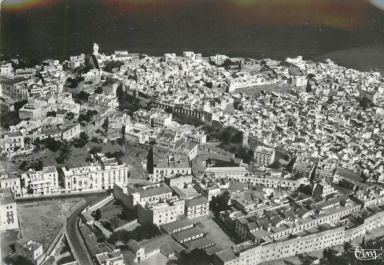 99414780_3463752816987689_3119902726721372160_o