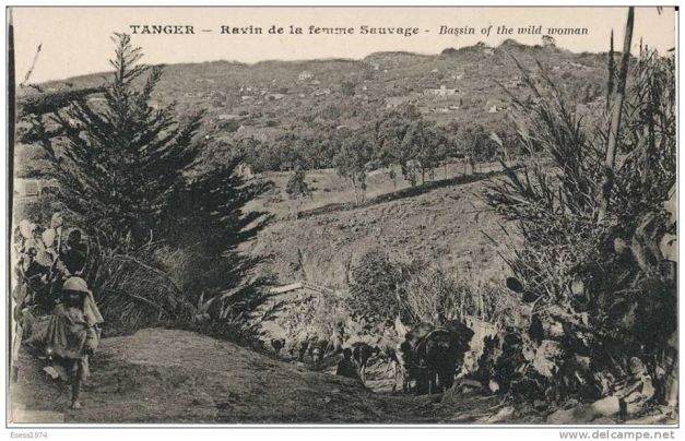 A Ravina da Mulher Selvagem