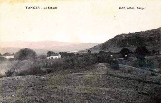 O Xarfe e a Ponte Portuguesa